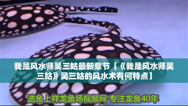 給大魚缸換水的作文:體驗給大魚缸換水的樂趣:體驗給大魚缸換水:給大魚缸換水的作文 我是風水師吳三姑最新章節【《我是風水師吳三姑》吳三姑的風水術有何特點】 龍魚論壇 我是風水師吳三姑最新章節【《我是風水師吳三姑》吳三姑的風水術有何特點】 我是風水師吳三姑最新章節【《我是風水師吳三姑》吳三姑的風水術有何特點】 龍魚論壇