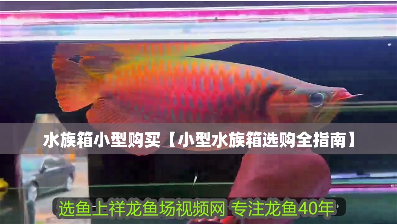 水族箱小型購買【小型水族箱選購全指南】