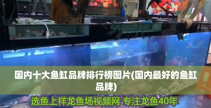 國內十大魚缸品牌排行榜圖片(國內最好的魚缸品牌) 黃金貓魚百科 第1張 國內十大魚缸品牌排行榜圖片(國內最好的魚缸品牌) 國內十大魚缸品牌排行榜圖片(國內最好的魚缸品牌) 黃金貓魚百科 第1張