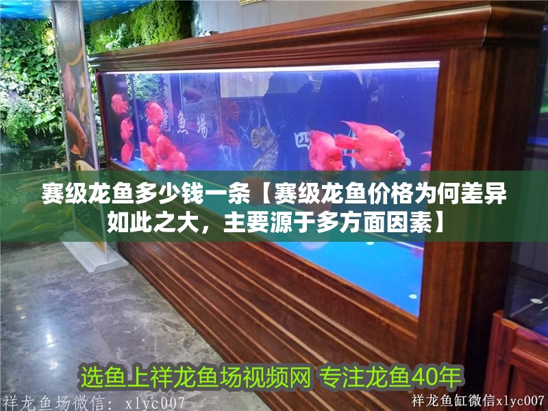 魚缸過濾器選購指南:自制魚缸過濾器魚缸上置過濾器對于養魚愛好者的必備知識 賽級龍魚多少錢一條【賽級龍魚價格為何差異如此之大,主要源于多方面因素】 水族問答 賽級龍魚多少錢一條【賽級龍魚價格為何差異如此之大,主要源于多方面因素】 賽級龍魚多少錢一條【賽級龍魚價格為何差異如此之大,主要源于多方面因素】 水族問答