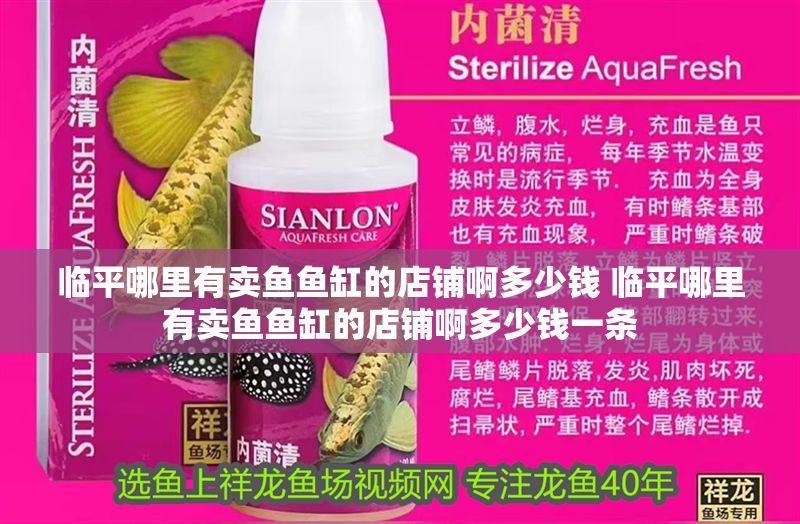 臨平哪里有賣魚魚缸的店鋪啊多少錢 臨平哪里有賣魚魚缸的店鋪啊多少錢一條 黃金貓魚百科 第1張 臨平哪里有賣魚魚缸的店鋪啊多少錢 臨平哪里有賣魚魚缸的店鋪啊多少錢一條 臨平哪里有賣魚魚缸的店鋪啊多少錢 臨平哪里有賣魚魚缸的店鋪啊多少錢一條 黃金貓魚百科 第1張