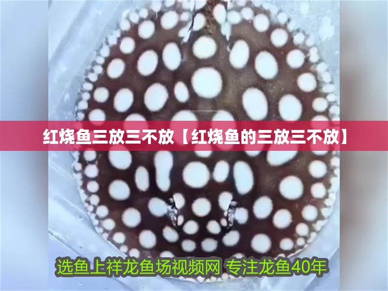 紅燒魚三放三不放【紅燒魚的三放三不放】