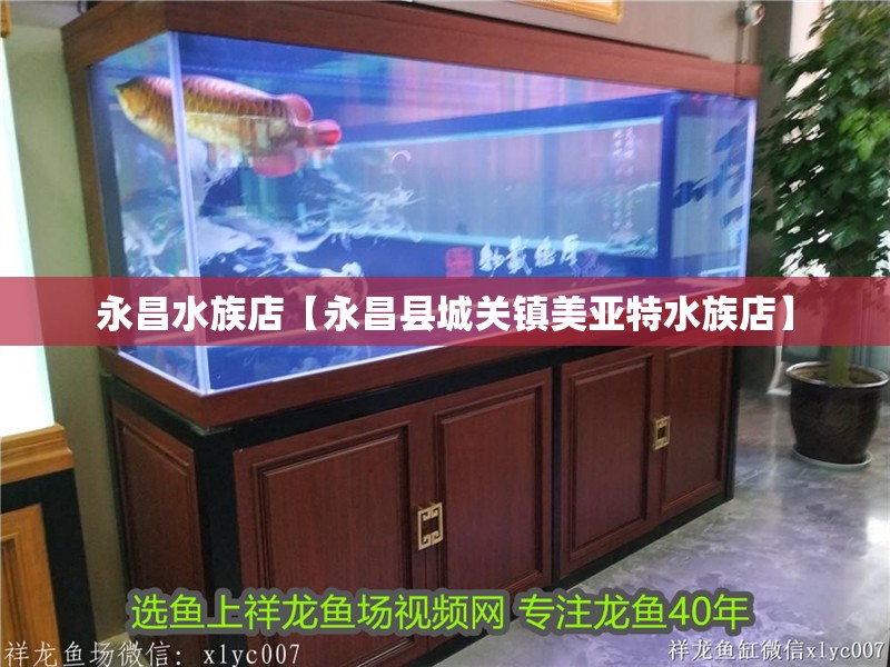 永昌水族店【永昌縣城關(guān)鎮(zhèn)美亞特水族店】