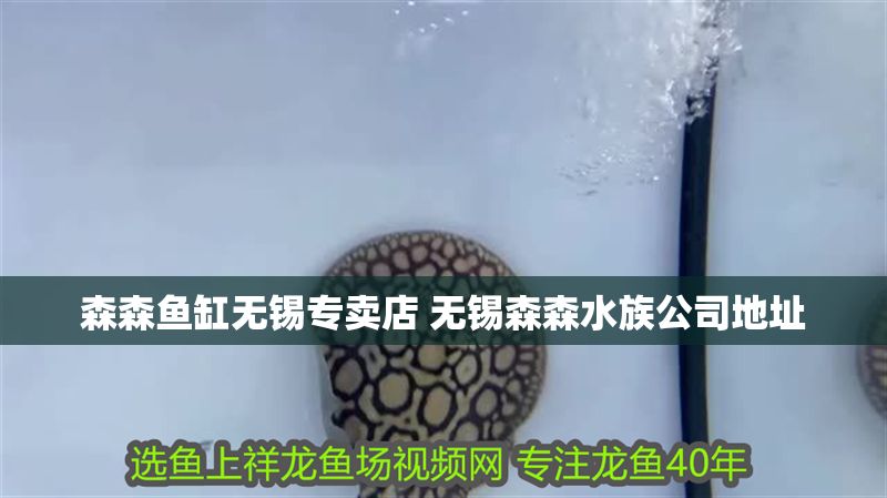 森森魚缸無錫專賣店 無錫森森水族公司地址
