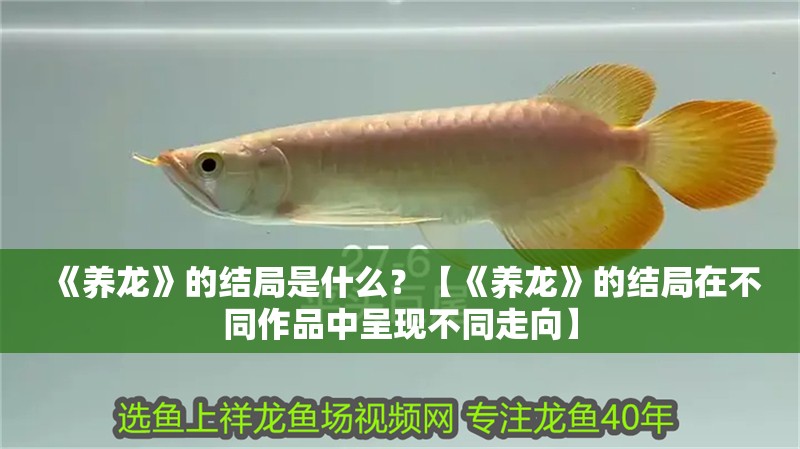 《養龍》的結局是什么？【《養龍》的結局在不同作品中呈現不同走向】 《養龍》的結局是什么？【《養龍》的結局在不同作品中呈現不同走向】 龍魚論壇