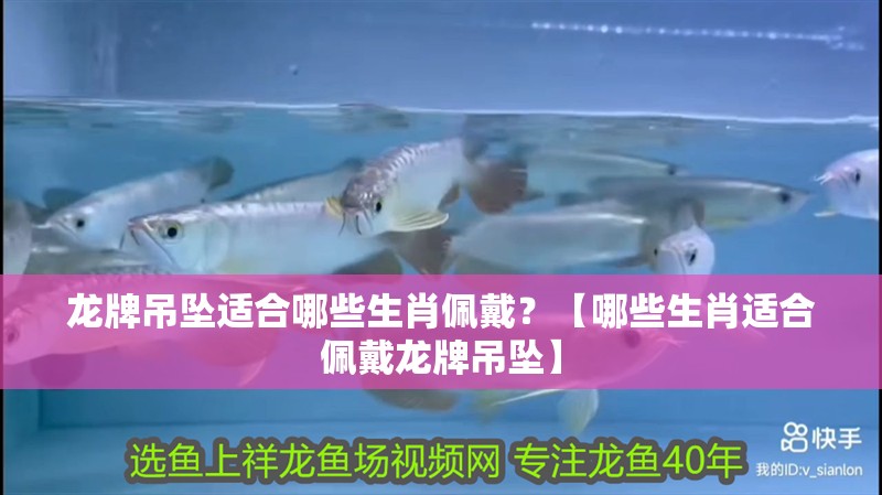 龍牌吊墜適合哪些生肖佩戴？【哪些生肖適合佩戴龍牌吊墜】