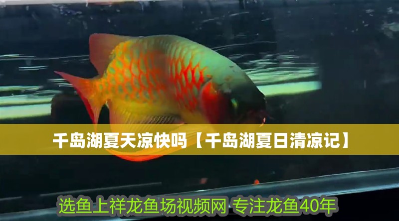 千島湖夏天涼快嗎【千島湖夏日清涼記】