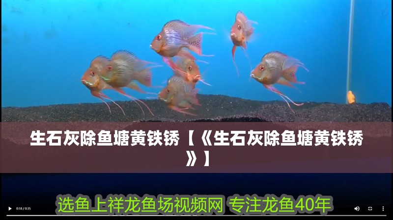 生石灰除魚塘黃鐵銹【《生石灰除魚塘黃鐵銹》】 生石灰除魚塘黃鐵銹【《生石灰除魚塘黃鐵銹》】 龍魚論壇
