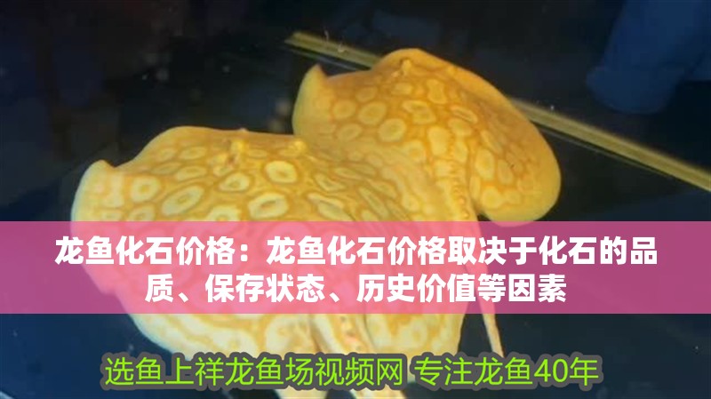龍魚化石價格：龍魚化石價格取決于化石的品質、保存狀態、歷史價值等因素