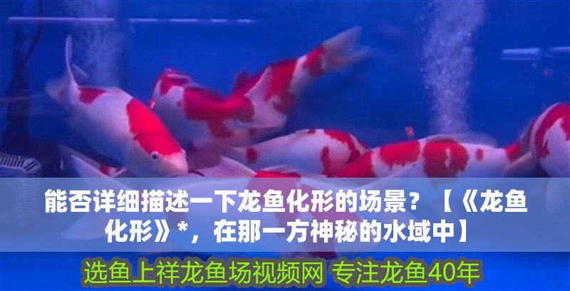 能否詳細描述一下龍魚化形的場景？【《龍魚化形》*，在那一方神秘的水域中】