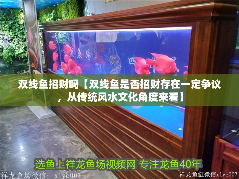 雙線魚招財嗎【雙線魚是否招財存在一定爭議，從傳統(tǒng)風(fēng)水文化角度來看】