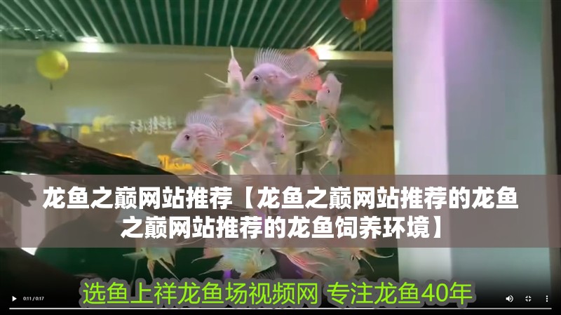 我的虎魚真菌感染了要怎么處理 龍魚之巔網(wǎng)站推薦【龍魚之巔網(wǎng)站推薦的龍魚之巔網(wǎng)站推薦的龍魚飼養(yǎng)環(huán)境】 水族問答 龍魚之巔網(wǎng)站推薦【龍魚之巔網(wǎng)站推薦的龍魚之巔網(wǎng)站推薦的龍魚飼養(yǎng)環(huán)境】 龍魚之巔網(wǎng)站推薦【龍魚之巔網(wǎng)站推薦的龍魚之巔網(wǎng)站推薦的龍魚飼養(yǎng)環(huán)境】 水族問答