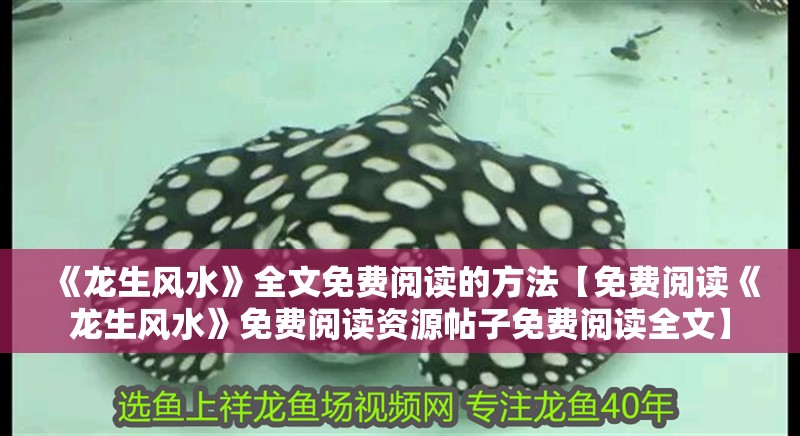 《龍生風水》全文免費閱讀的方法【免費閱讀《龍生風水》免費閱讀資源帖子免費閱讀全文】