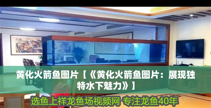 黃化火箭魚圖片【《黃化火箭魚圖片：展現(xiàn)獨(dú)特水下魅力》】