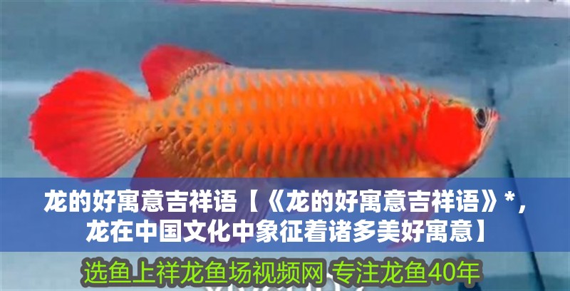 龍的好寓意吉祥語【《龍的好寓意吉祥語》*，龍在中國文化中象征著諸多美好寓意】 龍的好寓意吉祥語【《龍的好寓意吉祥語》*，龍在中國文化中象征著諸多美好寓意】 龍魚論壇
