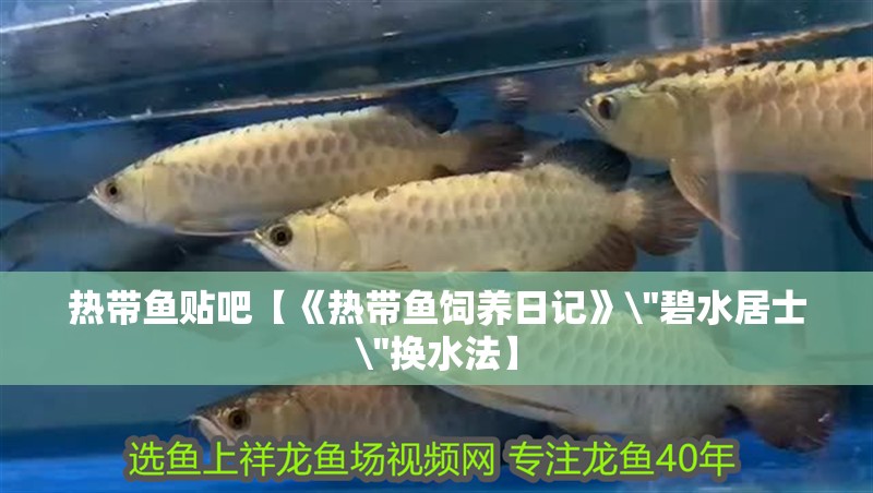 熱帶魚貼吧【《熱帶魚飼養日記》\