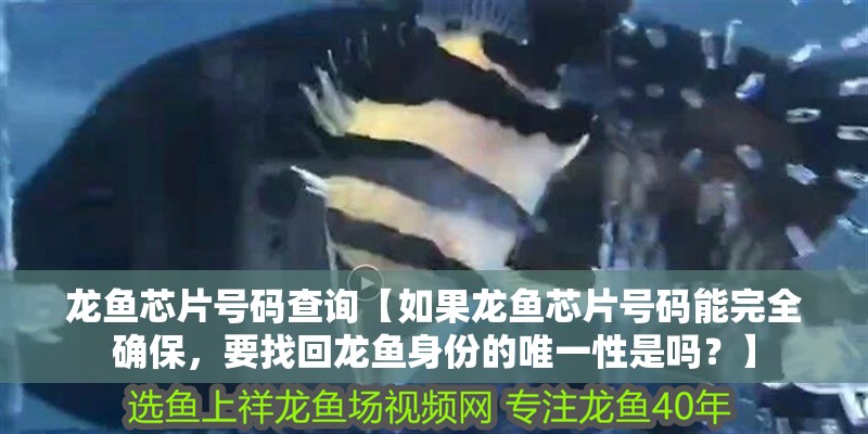 龍魚芯片號碼查詢【如果龍魚芯片號碼能完全確保，要找回龍魚身份的唯一性是嗎？】