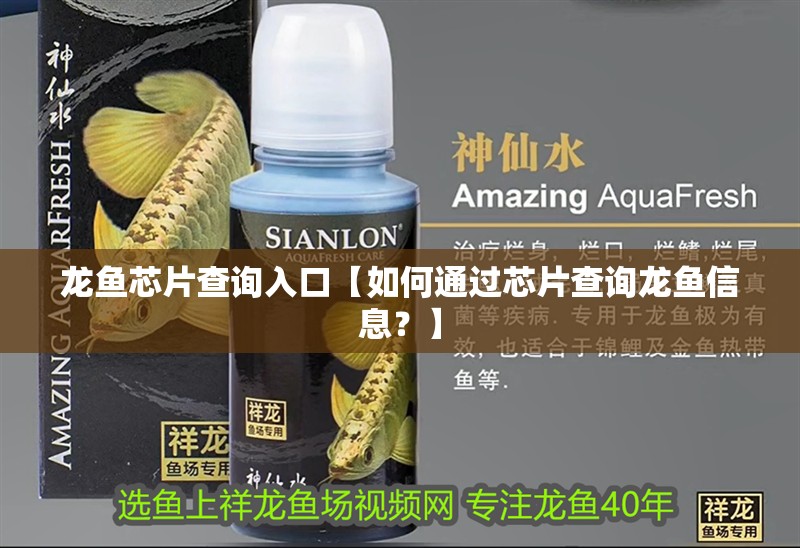 我的虎魚真菌感染了要怎么處理 龍魚芯片查詢入口【如何通過芯片查詢龍魚信息?】 水族問答 龍魚芯片查詢入口【如何通過芯片查詢龍魚信息?】 龍魚芯片查詢入口【如何通過芯片查詢龍魚信息?】 水族問答