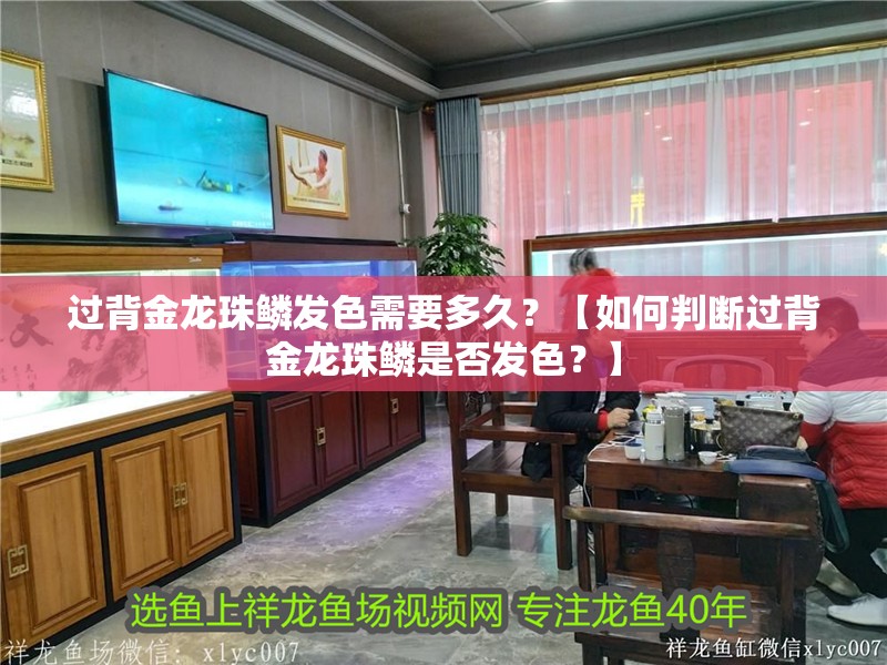 過背金龍珠鱗發色需要多久？【如何判斷過背金龍珠鱗是否發色？】