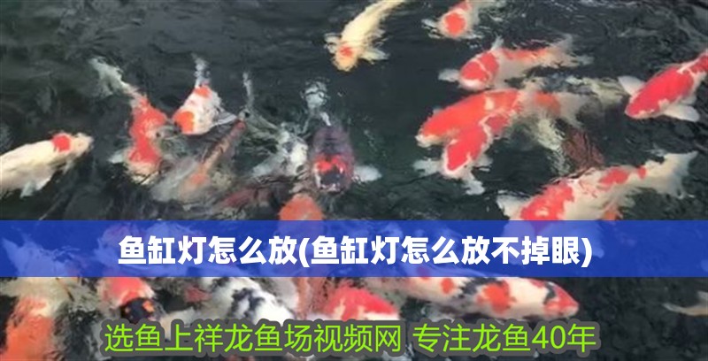 魚缸燈怎么放(魚缸燈怎么放不掉眼)