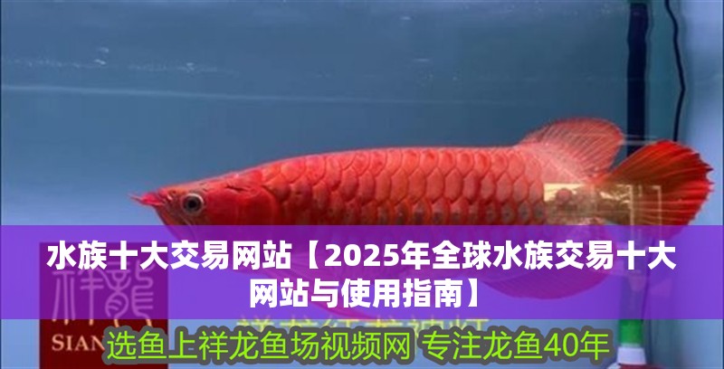 水族十大交易網(wǎng)站【2025年全球水族交易十大網(wǎng)站與使用指南】