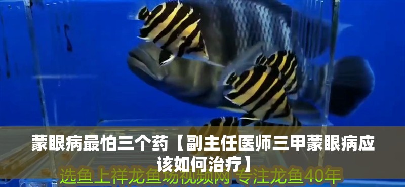 蒙眼病最怕三個藥【副主任醫(yī)師三甲蒙眼病應(yīng)該如何治療】