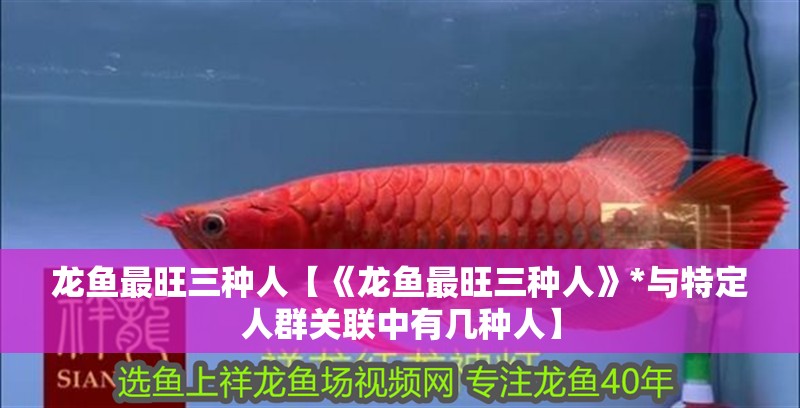 龍魚最旺三種人【《龍魚最旺三種人》*與特定人群關聯中有幾種人】