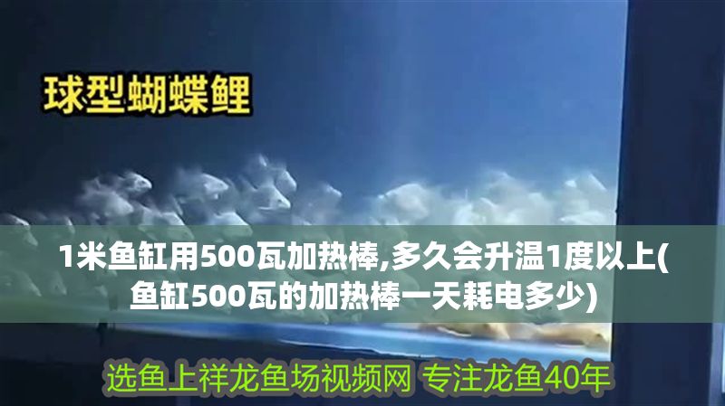 1米魚缸用500瓦加熱棒,多久會升溫1度以上(魚缸500瓦的加熱棒一天耗電多少)