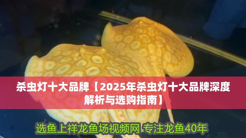 殺蟲燈十大品牌【2025年殺蟲燈十大品牌深度解析與選購指南】