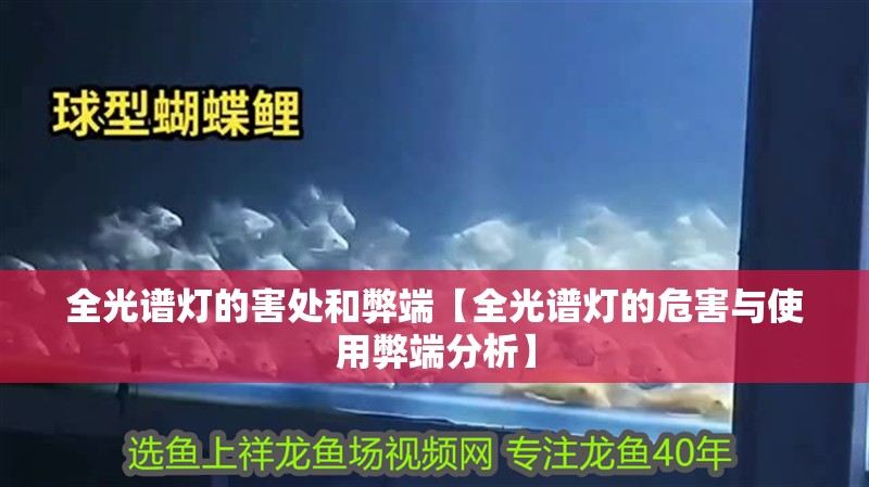 全光譜燈的害處和弊端【全光譜燈的危害與使用弊端分析】