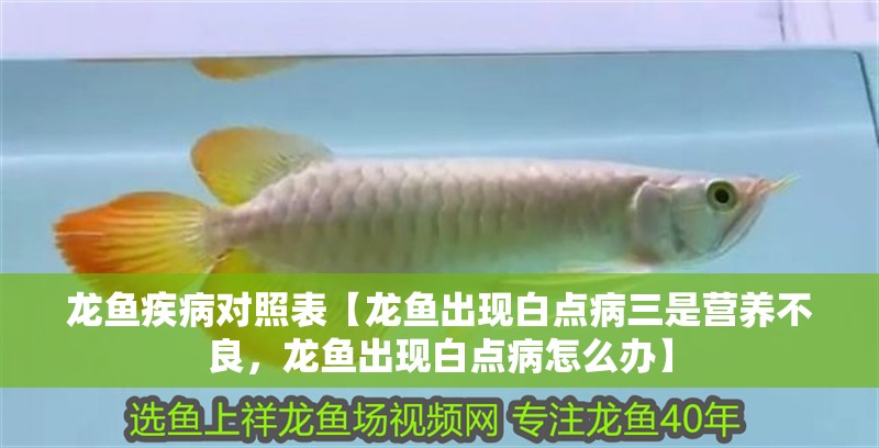 龍魚疾病對照表【龍魚出現白點病三是營養不良，龍魚出現白點病怎么辦】