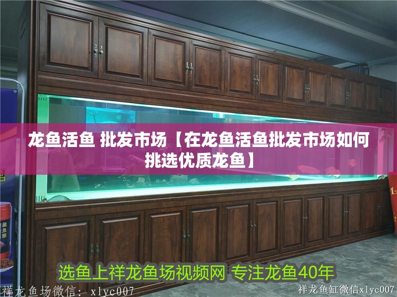 龍魚活魚 批發市場【在龍魚活魚批發市場如何挑選優質龍魚】