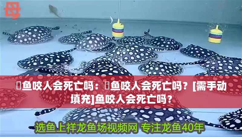 魟魚咬人會死亡嗎：魟魚咬人會死亡嗎？[需手動填充]魚咬人會死亡嗎？