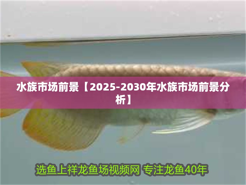 水族市場前景【2025-2030年水族市場前景分析】