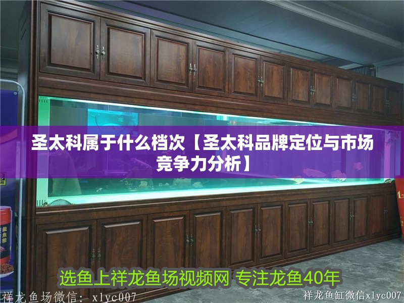 圣太科屬于什么檔次【圣太科品牌定位與市場競爭力分析】