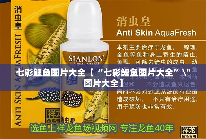 七彩鯉魚圖片大全【“七彩鯉魚圖片大全”\