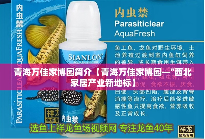 青海萬佳家博園簡介【青海萬佳家博園—