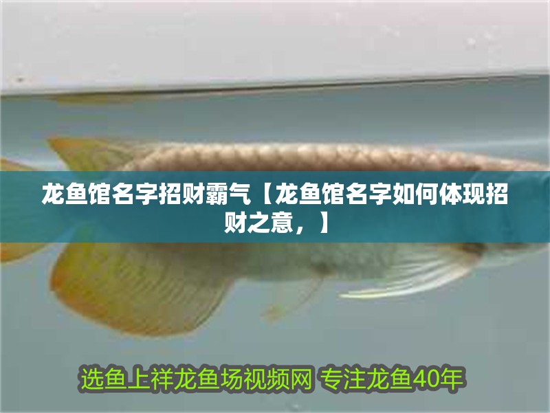 龍魚館名字招財霸氣【龍魚館名字如何體現(xiàn)招財之意，】