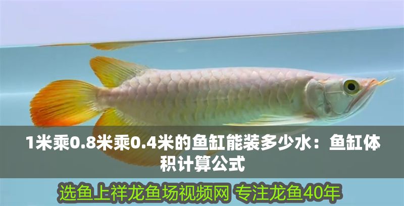 1米乘0.8米乘0.4米的魚缸能裝多少水：魚缸體積計算公式 1米乘0.8米乘0.4米的魚缸能裝多少水：魚缸體積計算公式 魚缸百科 第1張