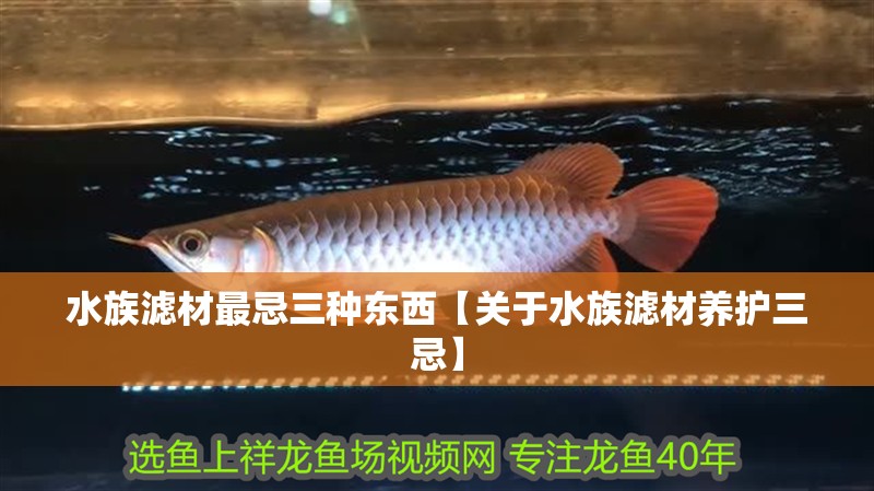 水族濾材最忌三種東西【關于水族濾材養護三忌】