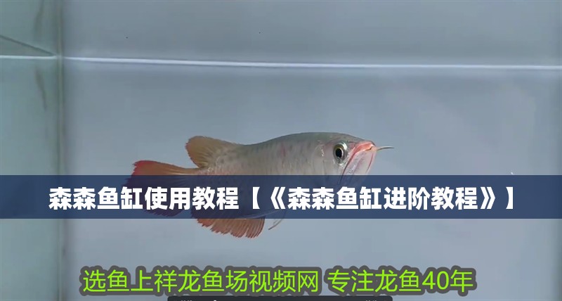 森森魚缸使用教程【《森森魚缸進階教程》】 森森魚缸使用教程【《森森魚缸進階教程》】 龍魚論壇