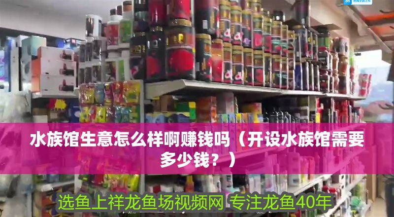 水族館生意怎么樣啊賺錢嗎（開設(shè)水族館需要多少錢？）