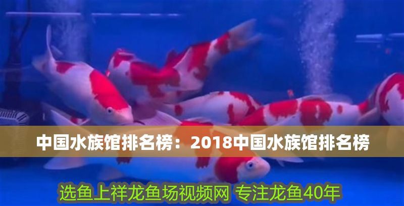 中國水族館排名榜:2018中國水族館排名榜 水族館百科(水族館加盟) 第1張 中國水族館排名榜:2018中國水族館排名榜 中國水族館排名榜:2018中國水族館排名榜 水族館百科(水族館加盟) 第1張