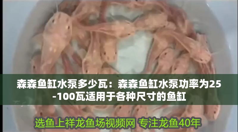 森森魚缸水泵多少瓦：森森魚缸水泵功率為25-100瓦適用于各種尺寸的魚缸