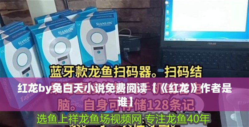 紅龍by兔白天小說免費閱讀【《紅龍》作者是誰】