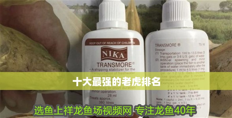 十大最強的老虎排名 十大最強的老虎排名 龍魚論壇