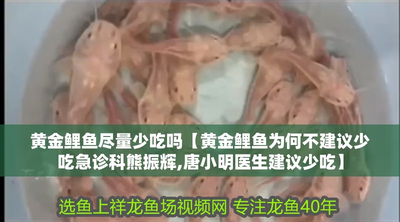 黃金鯉魚盡量少吃嗎【黃金鯉魚為何不建議少吃急診科熊振輝,唐小明醫生建議少吃】