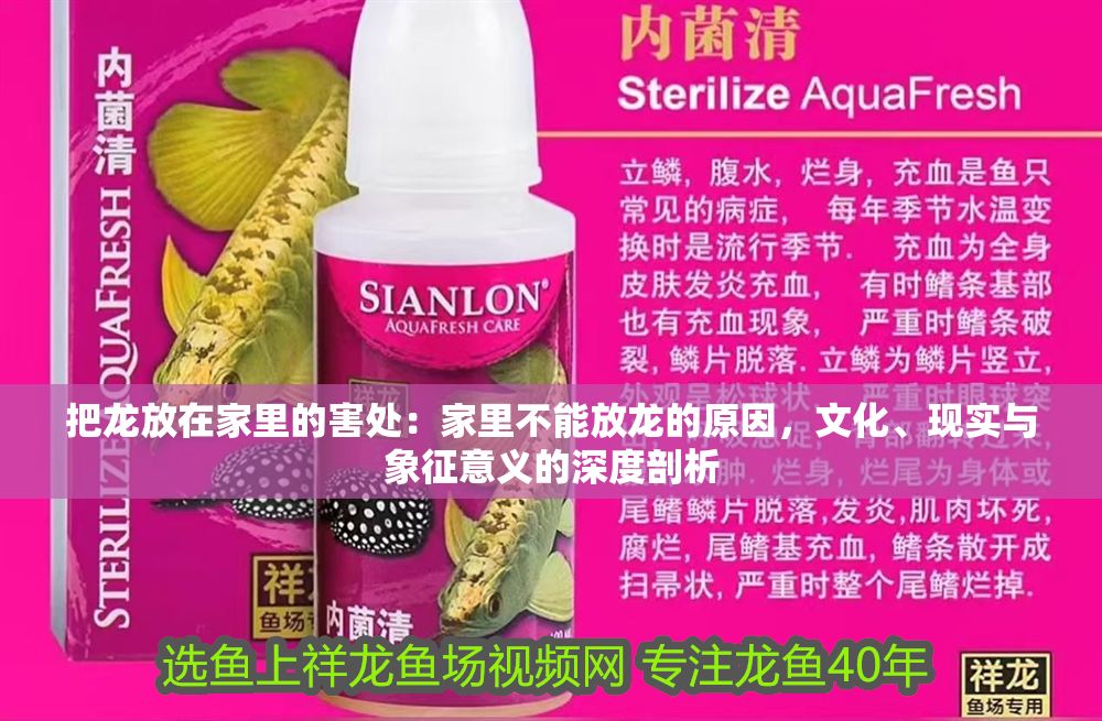 把龍放在家里的害處：家里不能放龍的原因，文化、現(xiàn)實(shí)與象征意義的深度剖析