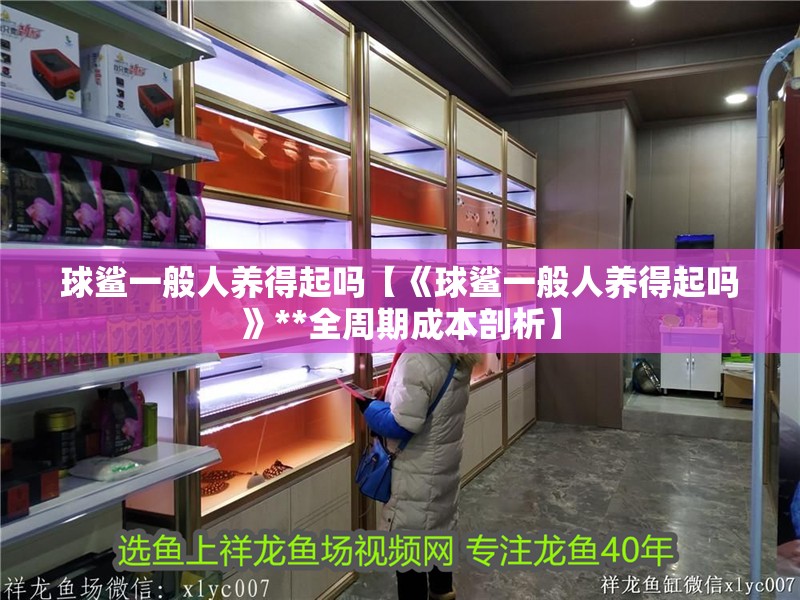 球鯊一般人養得起嗎【《球鯊一般人養得起嗎》**全周期成本剖析】