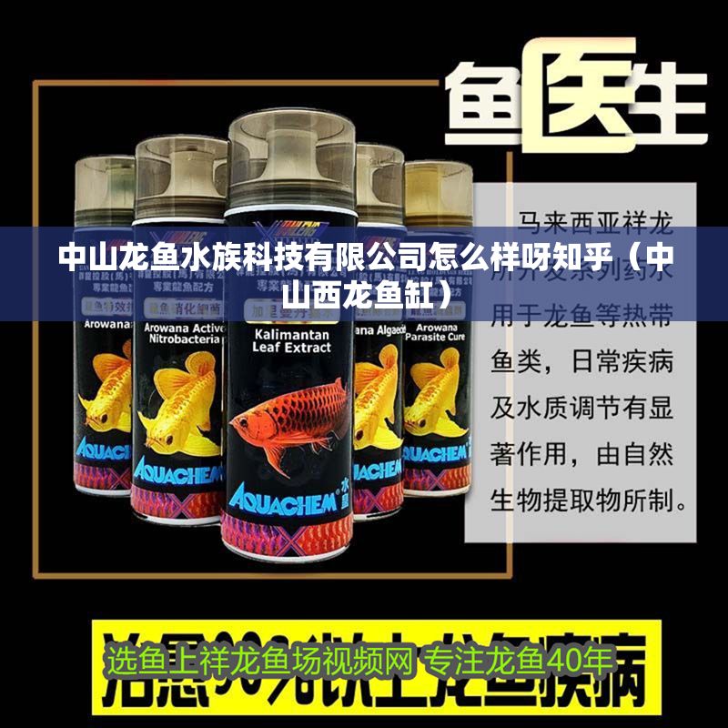 中山龍魚水族科技有限公司怎么樣呀知乎（中山西龍魚缸）